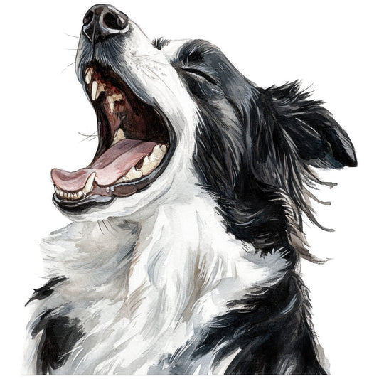 watercolor, border collie, dog portrait, black and white, gray, pink tongue, barking dog, animal artwork, fabric panel, quilting cotton, pet themed, realistic illustration, canine art, mouth open, fur texture, painted style, craft fabric, sewing panel, dog lover, artistic rendering
