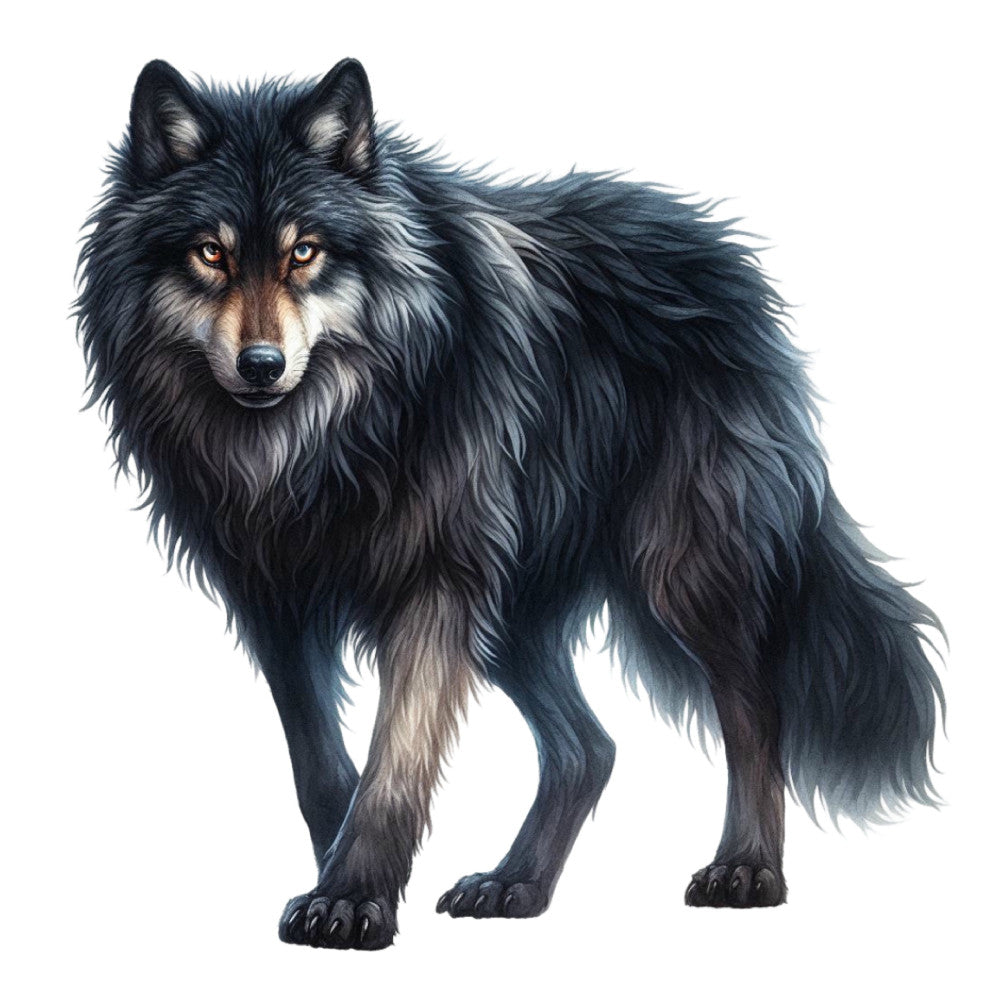 wolf, charcoal gray, black, white, cream, amber eyes, wildlife, animals, nature, canine, realistic, detailed, portrait, majestic, wild, forest, rustic, elegant, dramatic, illustration, art print, large scale, contemporary, modern, northern, native, indigenous, strength, power, mystical