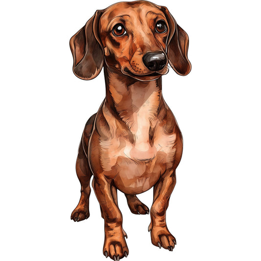 dachshund, dog, wiener dog, brown, tan, rust, chocolate brown, cream, animal portrait, pet, cute, whimsical, playful, realistic, detailed illustration, dog lover, puppy, long-haired dog, children's, kids, nursery, pet theme, dog breed, companion animal, charming, endearing, decorative panel, wall art, fabric panel, novelty print