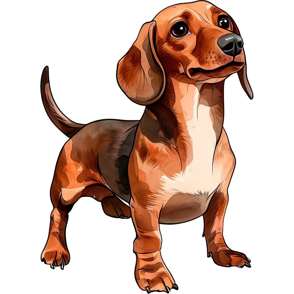 dachshund, brown, tan, cream, rust orange, dog, animal, puppy, cute, whimsical, playful, cartoon, illustration, children's, kids, pet, friendly, long-haired dachshund, wiener dog, domestic animal, fun, cheerful, nursery, baby, juvenile, character print, novelty, detailed shading