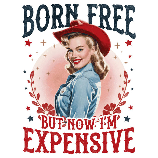 Retro 4th of July Fabric Panel 4