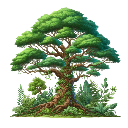 forest green, sage green, lime green, olive green, tan, brown, woodland, nature, tree, botanical, leaves, foliage, plants, naturalistic, detailed illustration, whimsical, organic, earthy, rustic, zen, peaceful, garden, tropical, lush, spring, summer, landscape, environmental, detailed art