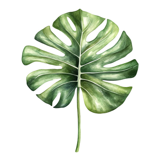 monstera leaf, tropical leaf, green leaf, sage green, forest green, light green, botanical, nature, tropical, plant, leaves, foliage, modern, contemporary, botanical print, single leaf, minimalist, home decor, wall art, nature-inspired, jungle, botanical illustration, watercolor, artistic, elegant, spring, summer, naturalistic, organic