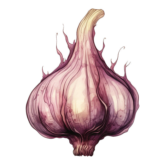 garlic, onion, vegetable, produce, mauve, dusty rose, purple, deep purple, plum, cream, pale pink, botanical, realistic, detailed illustration, kitchen, cooking, farmhouse, rustic, elegant, whimsical, food, culinary, garden, natural, organic, autumn, harvest, gourmet, culinary theme, still life