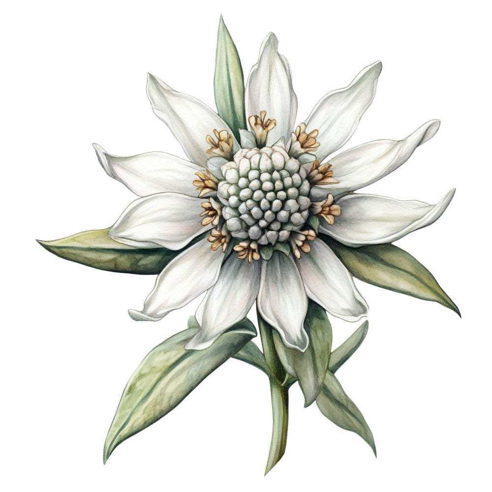 Watercolor Oktoberfest Fabric Panel 32