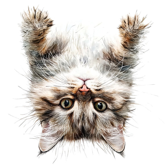 cat face, tabby cat, fluffy cat, persian cat, cat portrait, animal face, cat lover, whimsical cat, cute cat, brown and white, cream white, tan brown, gray and white, calico cat, cat head, animal print, pet themed, cat illustration, realistic cat, cat eyes, long-haired cat, furry cat, cat whiskers, animal lover gift, cute animal, funny animal, playful cat, cat art, upclose animal, novelty print