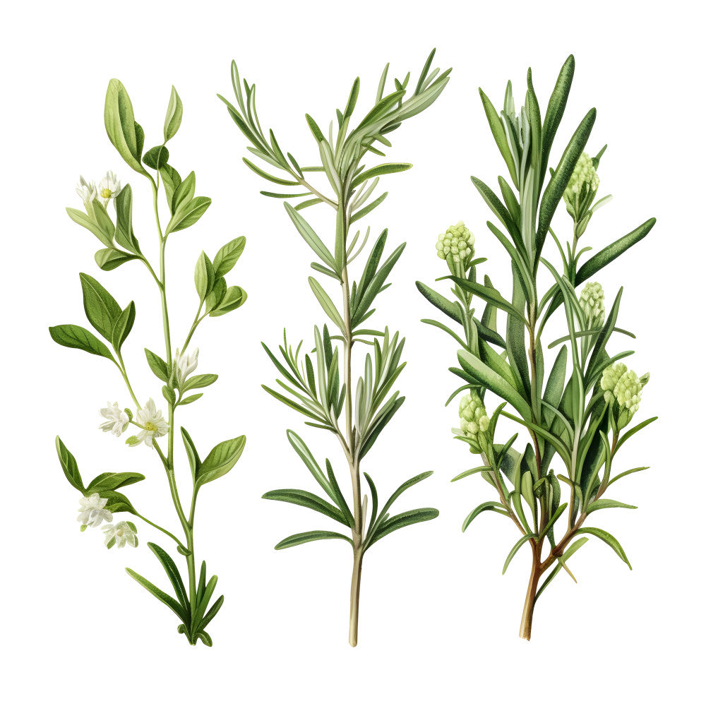 Celtic Symbols Fabric Panel 18