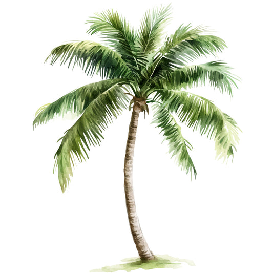tropical palm, palm tree, botanical, nature, plants, greenery, foliage, leaf, leaves, sage green, forest green, light green, cream, beige, tan, brown, summer, vacation, island, beach, botanical illustration, watercolor, soft, natural, elegant, relaxing, coastal, exotic, single tree, standing palm