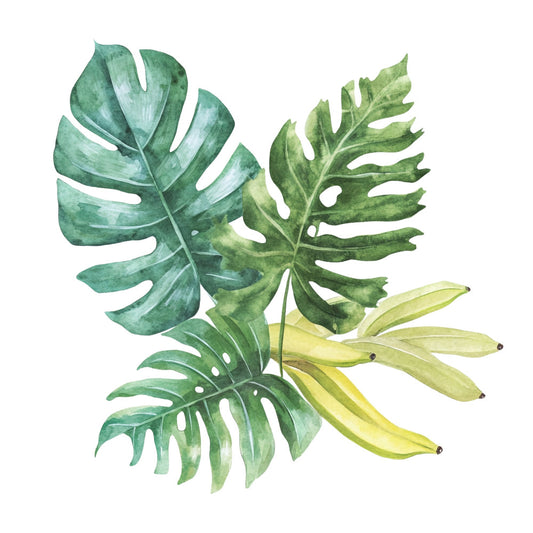 monstera leaf, tropical leaves, botanical, sage green, forest green, yellow-green, lime green, nature, tropical plants, jungle, botanical illustration, leafy, split leaf philodendron, banana leaves, yellow fruit, tropical flowers, botanical art, watercolor, spring, summer, nature-inspired, botanical pattern, plant motif, exotic, lush foliage, modern botanical, organic, natural theme, home decor, wall art