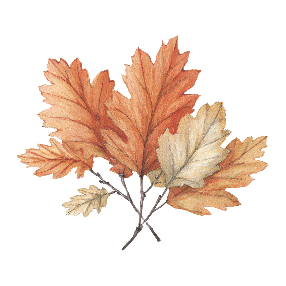 Cozy Autumn Cats Fabric Panel 24