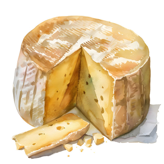 cheese, food, charcuterie, cream, golden yellow, pale yellow, butter yellow, beige, tan, white, food art, culinary, gourmet, realistic, still life, farmhouse, rustic, kitchen, food illustration, gouache art style, brie, camembert, wedge cheese, artisanal, european, culinary theme, foodie, chef decor, cottage core, farm fresh