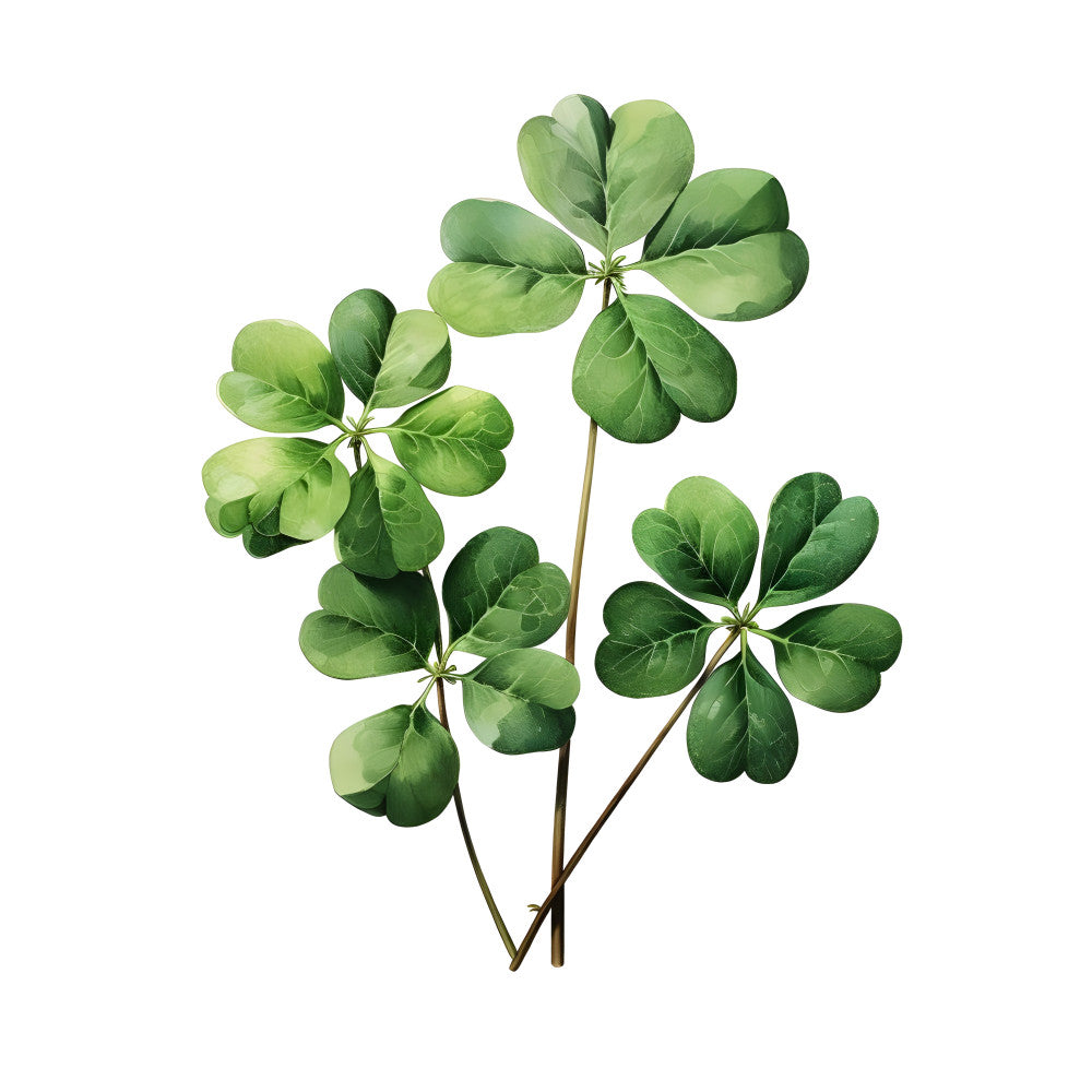 Celtic Symbols Fabric Panel 27