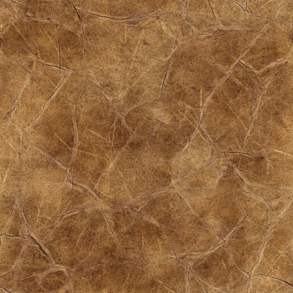 Rodeo Ranch Pattern 65 Minky Fabric