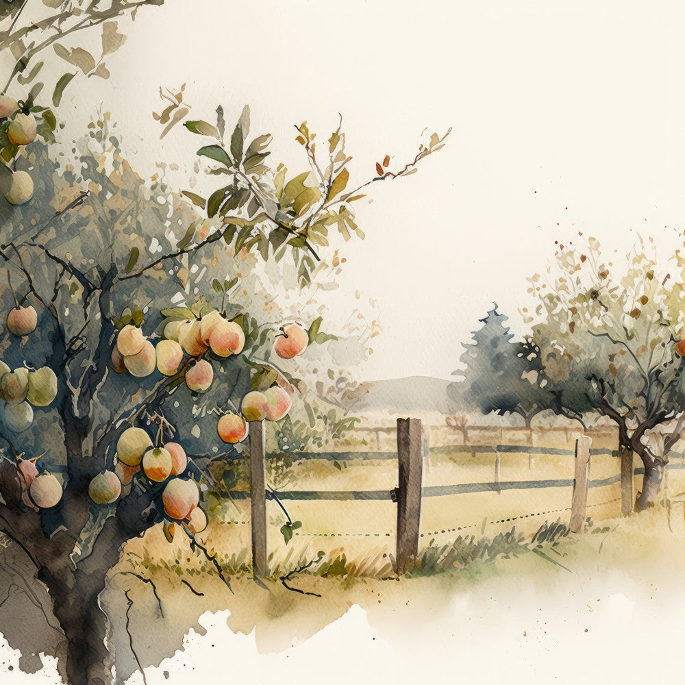 watercolor, orchard, peach, apricot, cream, beige, sage green, olive green, gray, muted tones, rustic, farmhouse, countryside, pastoral, nature, botanical, fruit trees, wooden fence, autumn, harvest, vintage, countryside landscape, peaceful, scenic, natural, home decor, wall art, nature scene