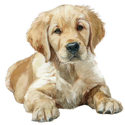 golden retriever, dog portrait, cream, tan, beige, light brown, warm neutrals, animals, pets, dog lovers, realistic, portrait style, detailed illustration, animal portrait, home decor, wall art, pillow cover, decorative panel, puppy, faithful friend, companion animals, nature themed, cozy, traditional, lifelike, dog breed, retriever, gentle, loving pet