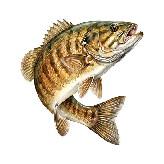 bass fish, largemouth bass, fishing, fish illustration, gold, tan, bronze, cream, olive green, realistic fish, wildlife, nature, animals, aquatic, water, fishing enthusiast, sportfish, detailed illustration, traditional style, elegant, rustic, outdoor themed, cabin decor, fishing lodge, mens interest, novelty print, fish motif