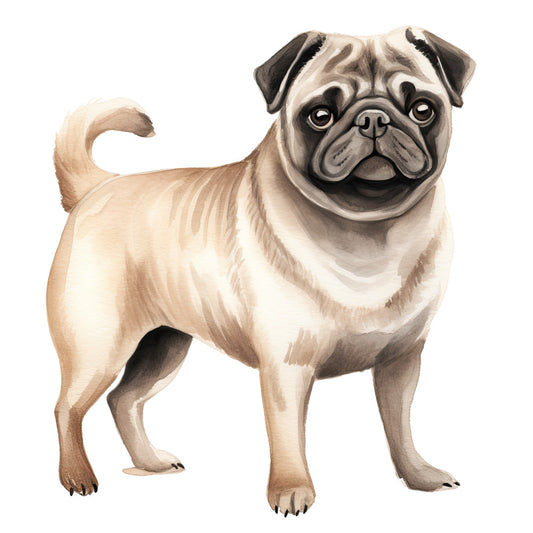 Watercolor Pug Fabric Panel 6 featuring a detailed and lifelike watercolor illustration of a cute standing pug dog.