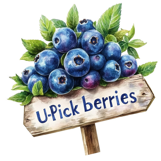Blueberry Gardens Fabric Panel 19