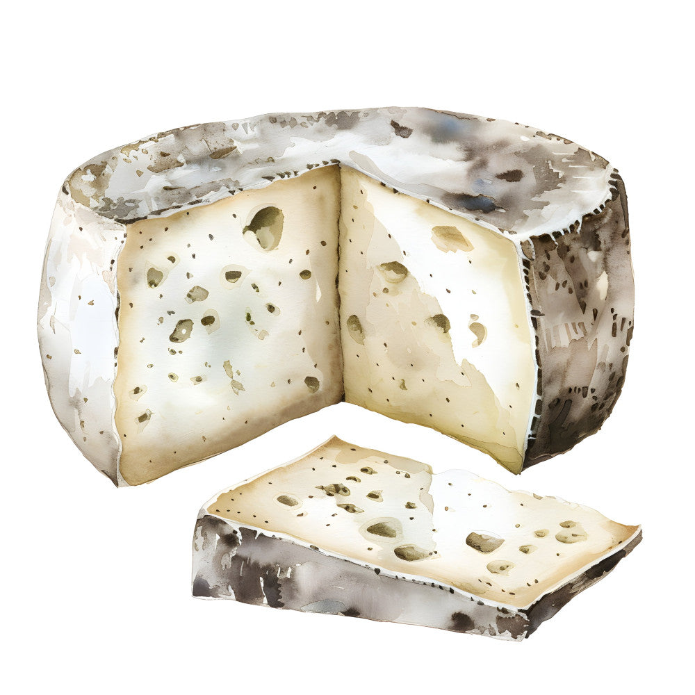 cheese, food, gourmet, cream, white, tan, beige, ivory, brown, gray, grey, realistic, photorealistic, food illustration, culinary, kitchen, farmhouse, rustic, elegant, sophisticated, novelty, humorous, whimsical, food themed, gourmet kitchen, artisanal, natural, textured, mold, holes