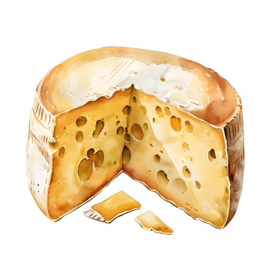 cheese, food, dairy, swiss cheese, emmental, holes, realistic food art, cream, golden yellow, pale yellow, butter yellow, tan, beige, white, culinary, kitchen, farmhouse, rustic, food illustration, gourmet, artisan cheese, novelty, whimsical, playful, detailed, textured, food themed, culinary art, cottage core, country style