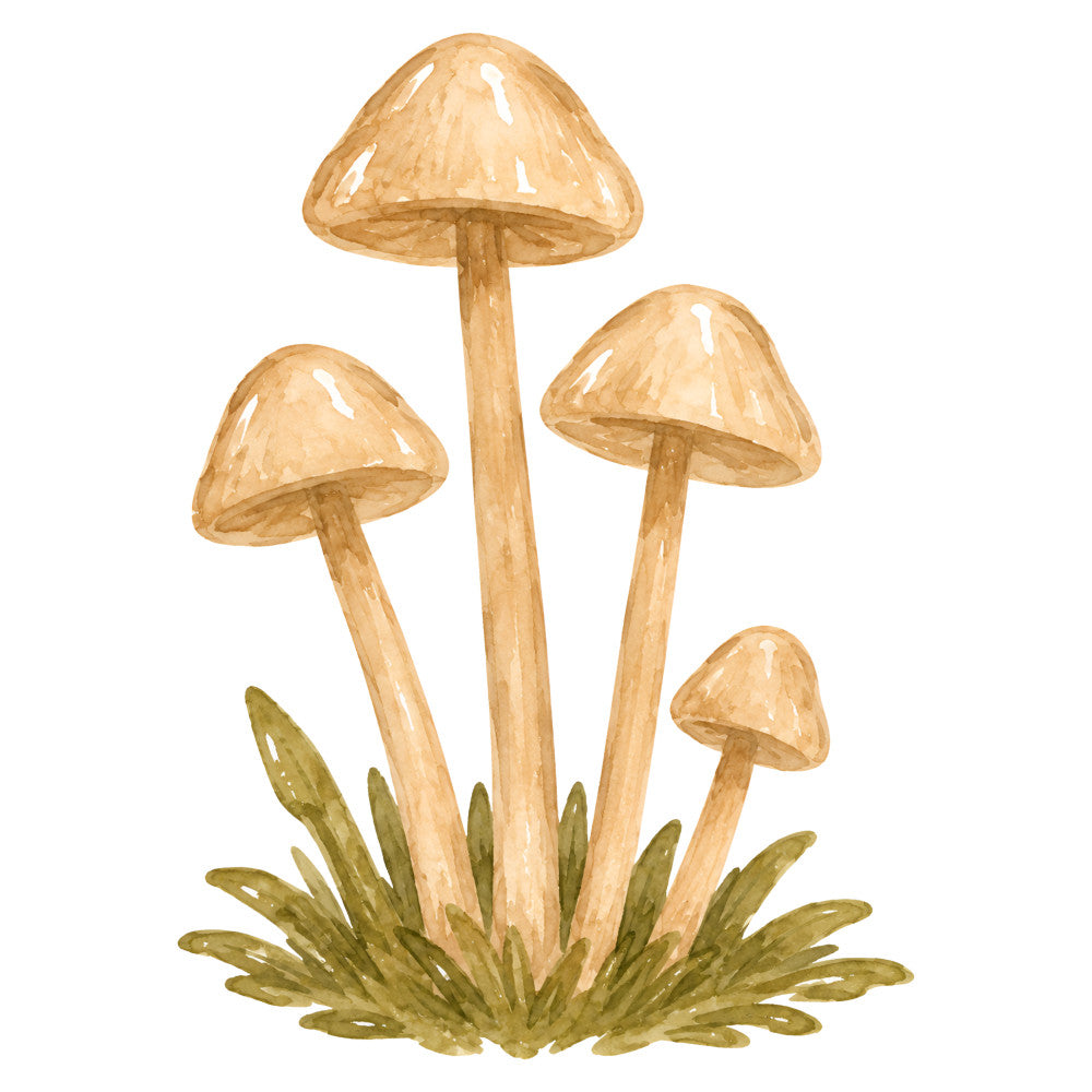 mushroom, toadstool, woodland, nature, botanical, tan, beige, cream, olive green, sage green, whimsical, forest, autumn, fall, rustic, cottage core, fairy tale, enchanted forest, grass, natural tones, earthy, illustrated, watercolor style, children's, storybook, magical, forest floor, fungi, seasonal, wall hanging