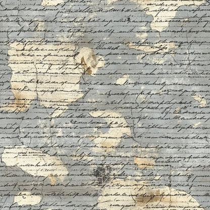 Gilded Forgotten Correspondence Pattern 14 Minky Fabric