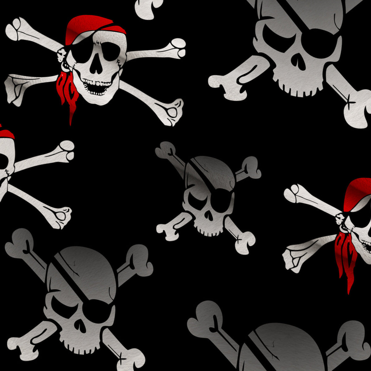 Pirate Skull Minky Fabric
