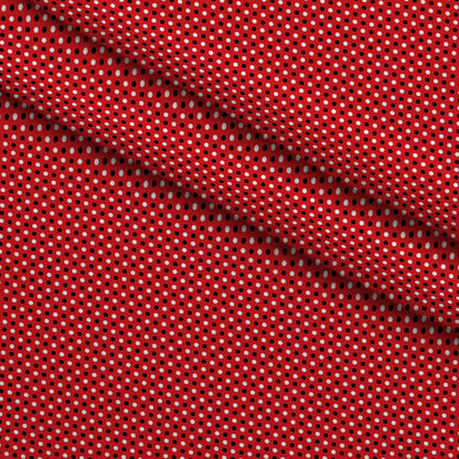Scarlet Paisley Pattern 2 Minky Fabric