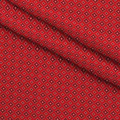 Scarlet Paisley Pattern 9 Minky Fabric