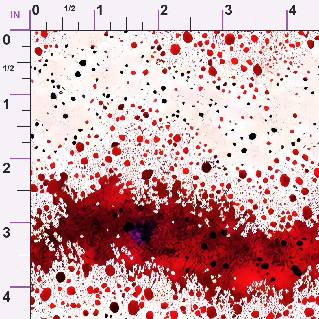 Scarlet Splash Pattern 4 Minky Fabric