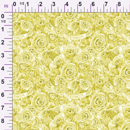 Sepia Blooms Pattern 78 Minky Fabric