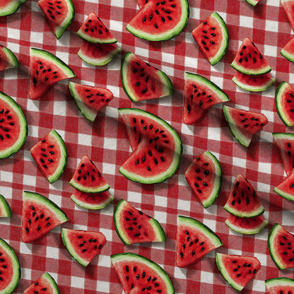 Summer Melon Slices Pattern 2 Minky Fabric