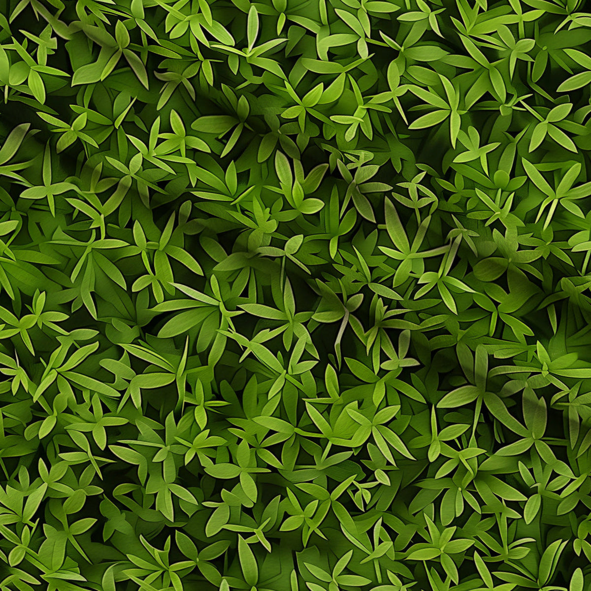 Verdant Canopy Pattern 1 Minky Fabric