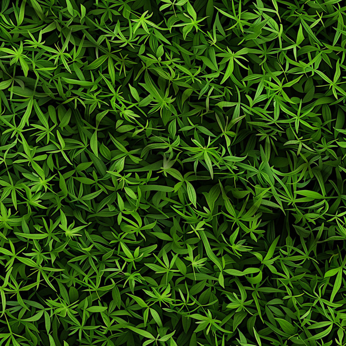 Verdant Canopy Pattern 10 Minky Fabric