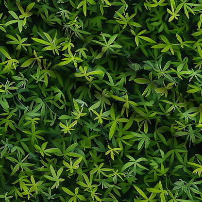 Verdant Canopy Pattern 13 Minky Fabric