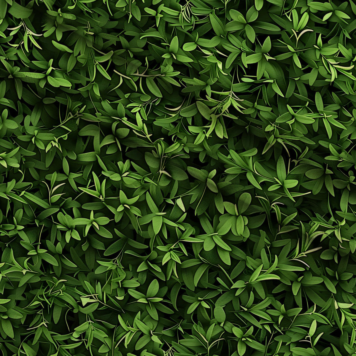 Verdant Canopy Pattern 2 Minky Fabric